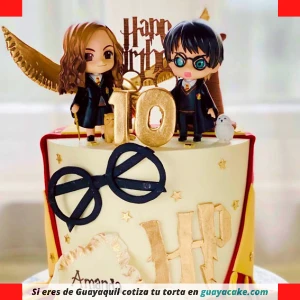 Torta de Harry Potter cumpleaños