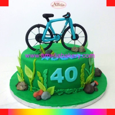 Bicycle buttercream cake