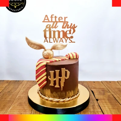 Harry Potter fondant cake